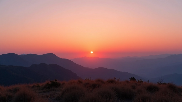 html 개인 홈페이지 만들기 실무 적용 방법
