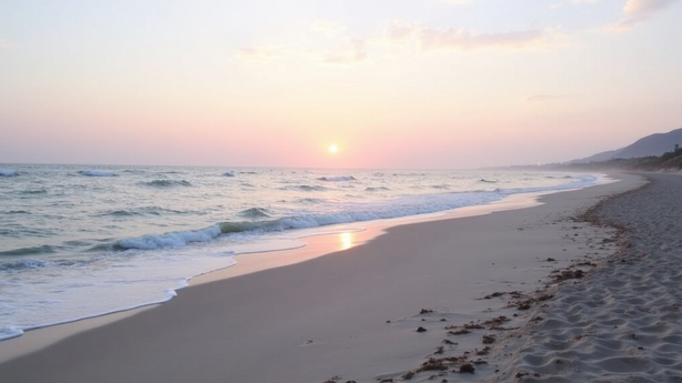 부동산 시세 조회 실무 적용 방법