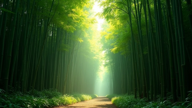 고시원 창업 대출 및 지원 정책 실무 적용 방법