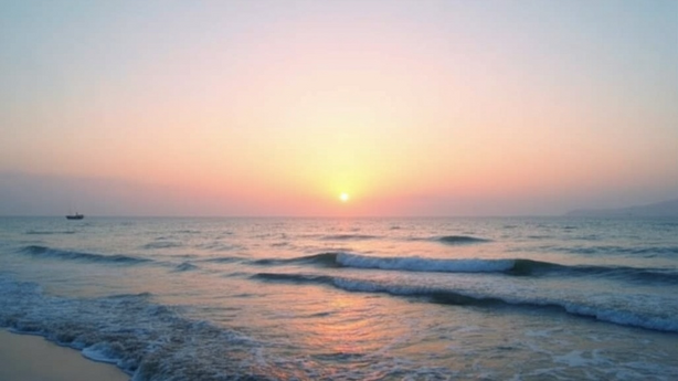 고시원 창업 후기 실무 적용 방법