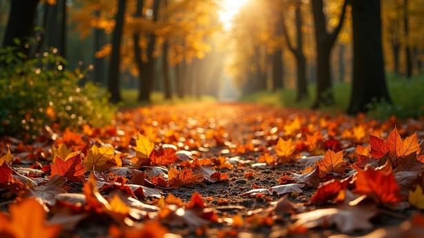 스웨이드 아이템 올바른 케어 방법 실무 적용 방법