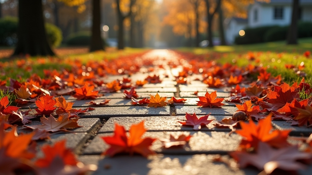 AI 기반의 스마트 홈 기술 실무 적용 방법