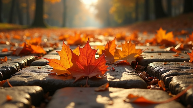 페스티벌gogo 2027년 여름 야외 축제 공연 실무 적용 방법