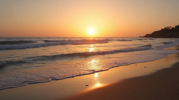 AI 환경 문제 해결 방안 실무 적용 방법