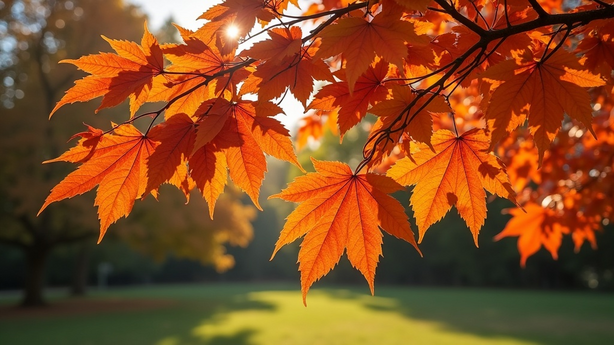AI와 직업 변화 대응 전략 실무 적용 방법