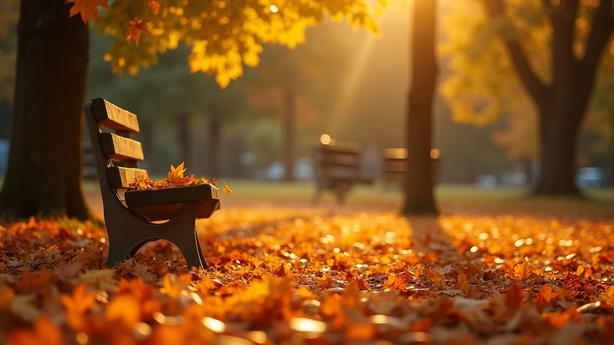 cyber1004 internet security guide 실무 적용 방법