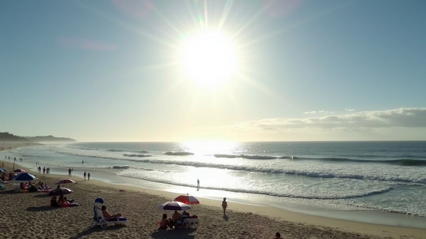 cyber1004 online privacy protection 실무 적용 방법