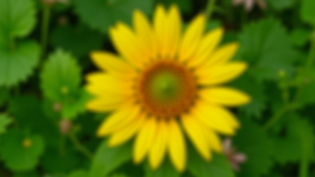 네이버 블로그 마케팅 전략 실무 적용 방법