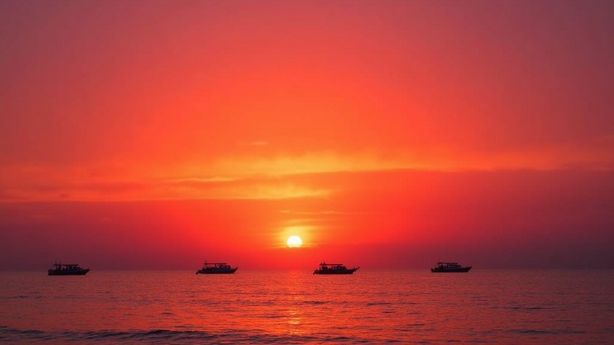 원룸 청소업체 후기 디시 실무 적용 방법